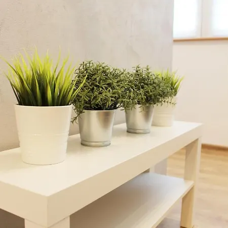 Kobalt - Wyzwolenia Apartment *